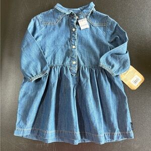 NWT Wrangler Denim Dress with Pearl Snaps
